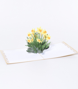 POPUP KARTE Narzissen, beige 14x14cm
