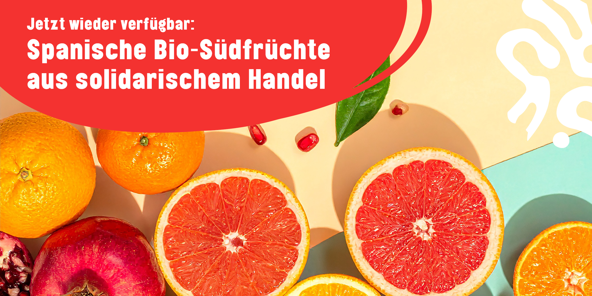 zur Website
